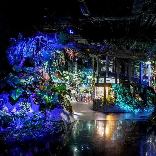 イーアス豊崎（かりゆし水族館）